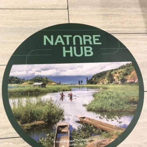 Floor Graphics